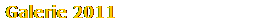 Galerie 2011